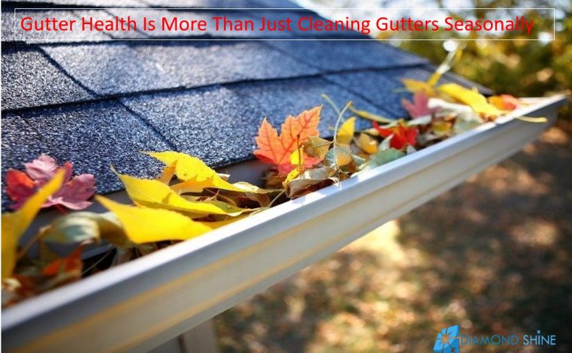 Gutter Health Is More Than Just Cleaning Gutters Seasonally