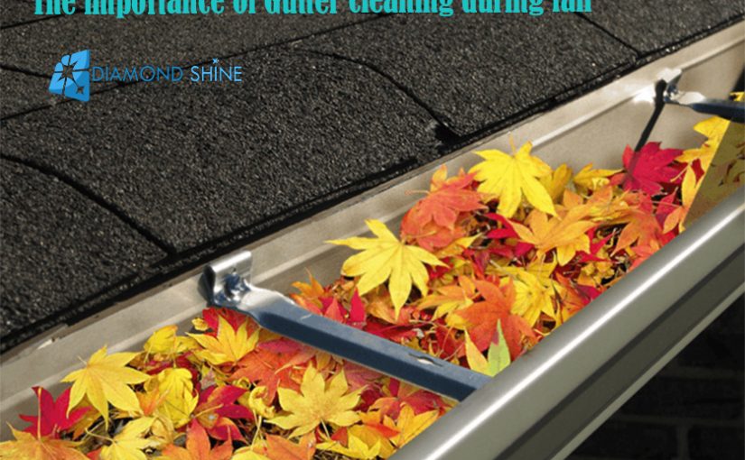 The importance of Gutter cleaning during fall