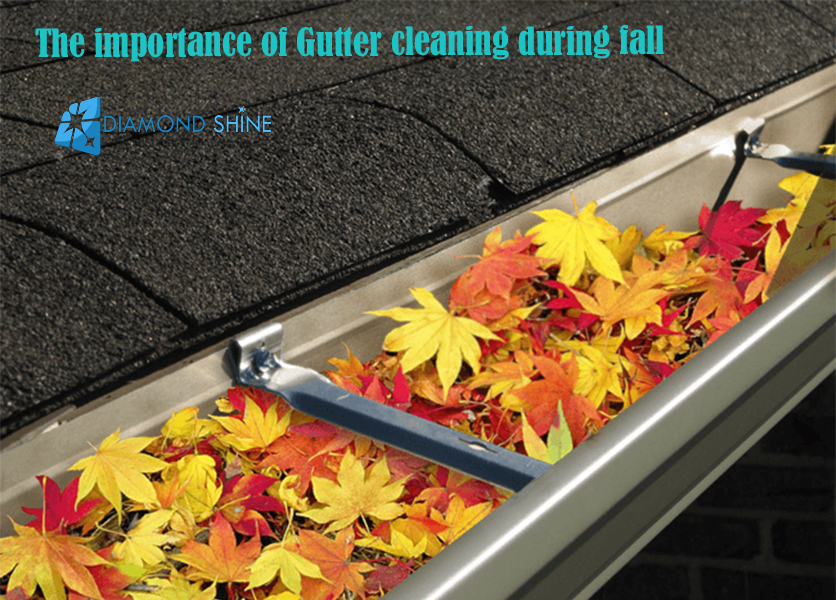 The importance of Gutter cleaning during fall - My blog